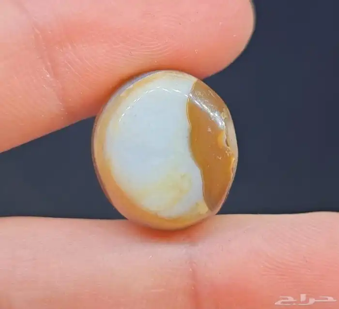 حجر سليماني هندي ( بوهلال ) 0