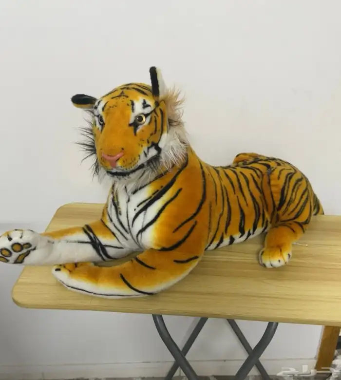 نمر الاتحاد جديد للبيع يستخدم ف البيت او الملاعب البيع 300 2