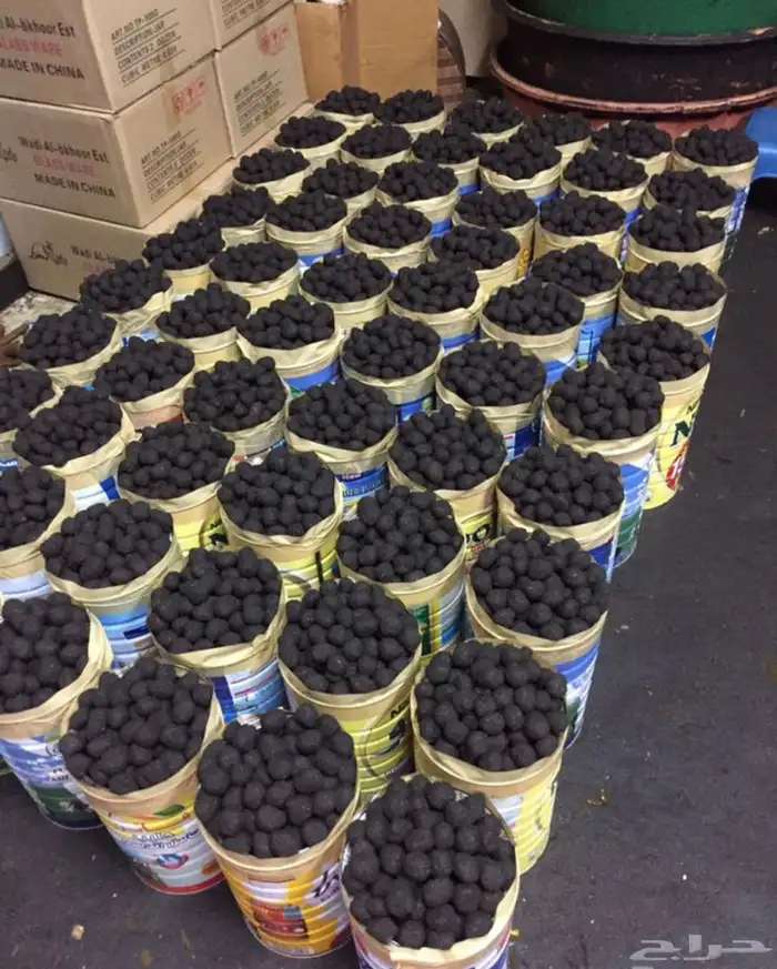 معمول بخور دوسري شرط من وادي الدواسر 2