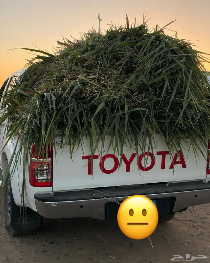 اعلاف علف وشتلات بونيكام 5