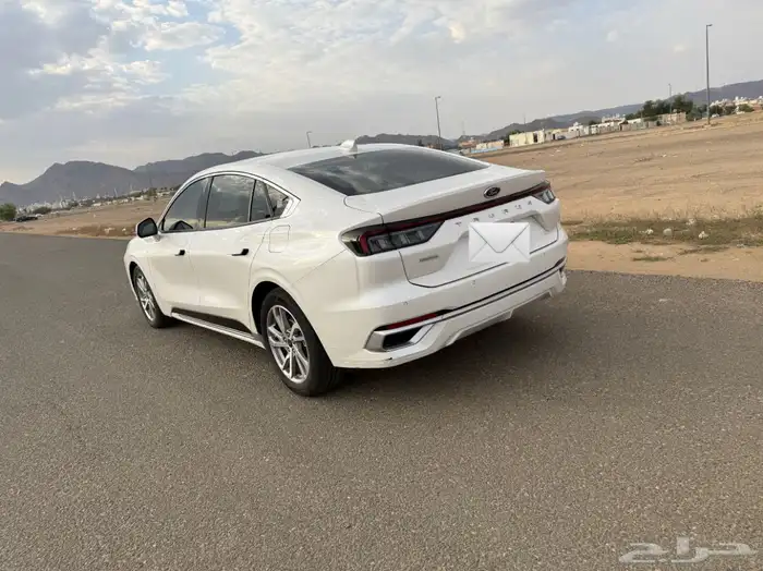 توريس ترند - نص فل 2023 4