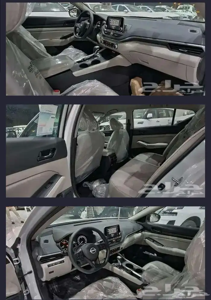 نسيان التيما 2024 S 1