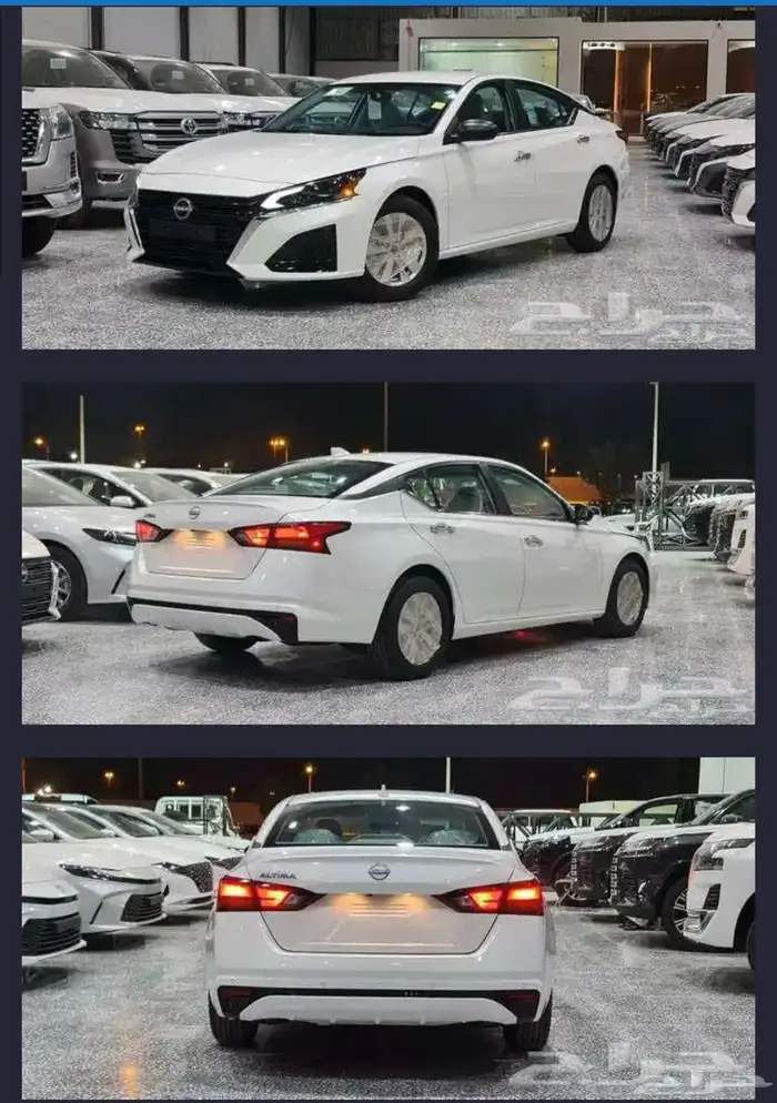 نسيان التيما 2024 S 0