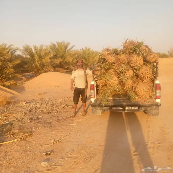 يوجد لدينا جميع انواع التخيل عربي واشنطني 1