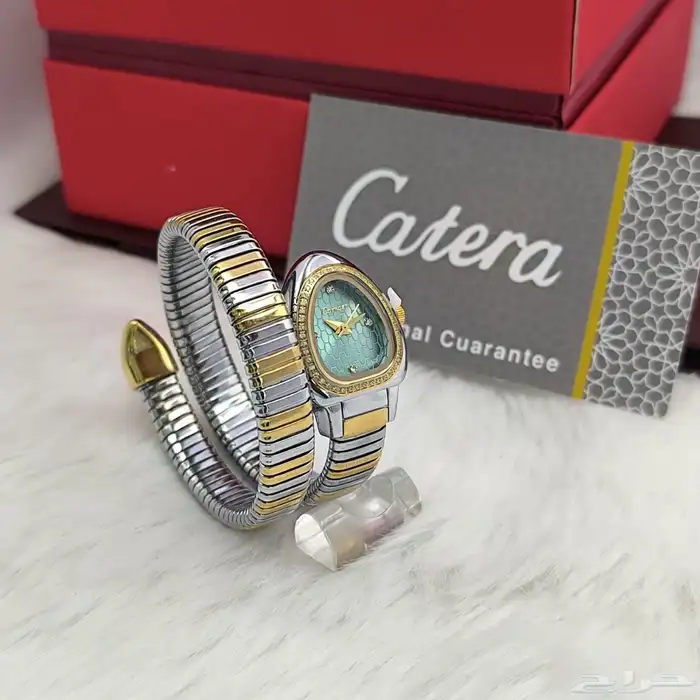 ساعات واكسسوارات جميع انواع البراندات هاي كوالتي 3