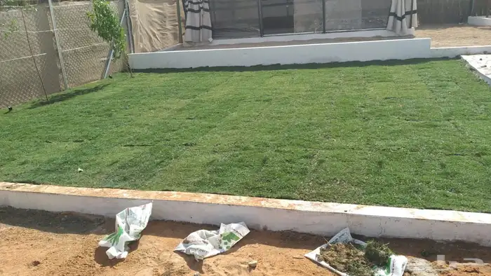 ثيل طبيعي درجة اولى فرنسي 1