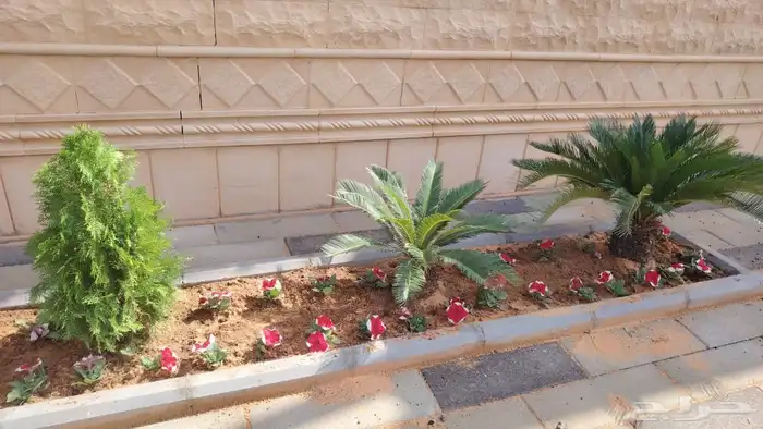 تنسق حدائق 4