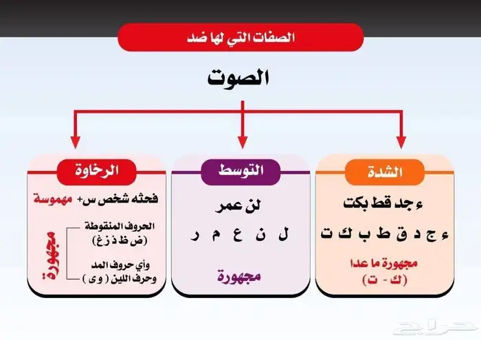 معلم تأسيس وقرآن ونور البيان ولغة عربية وتصحيح النطق 8
