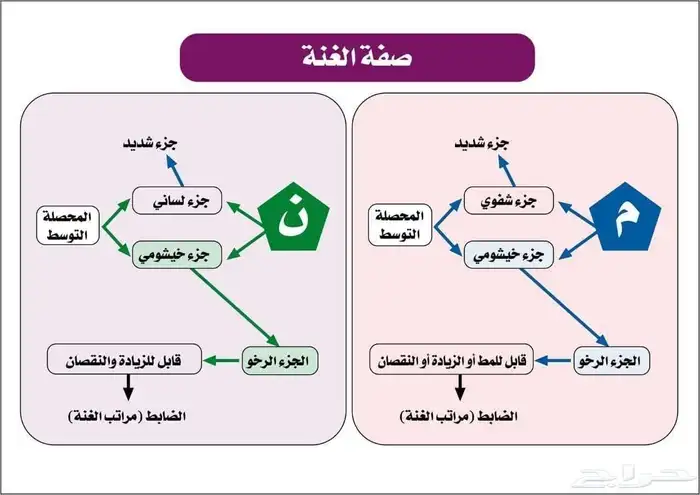 معلم تأسيس وقرآن ونور البيان ولغة عربية وتصحيح النطق 1