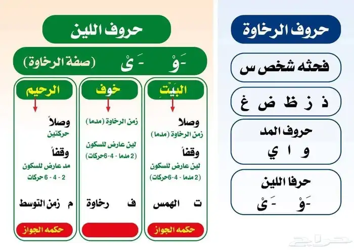 معلم تأسيس وقرآن ونور البيان ولغة عربية وتصحيح النطق 5