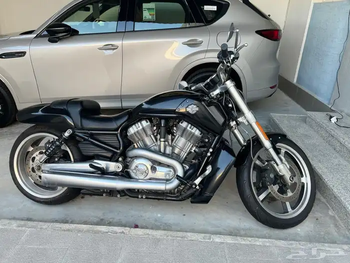 Harley Davidson v rod muscle هارلي 5