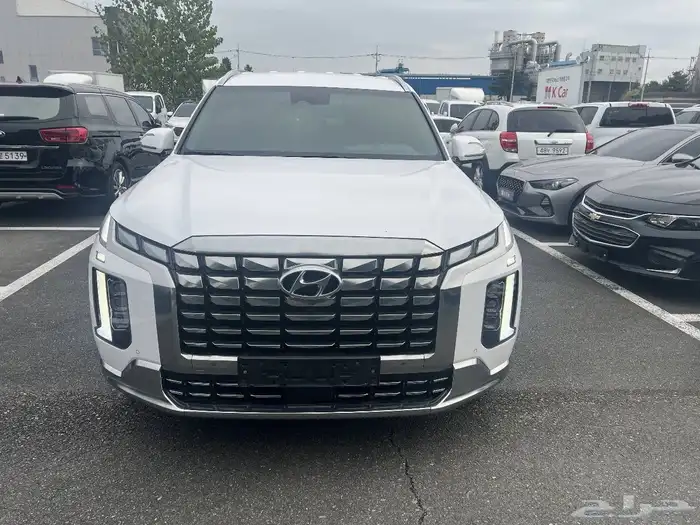 باليسيد كاليجرافي - 2023 - بنزين - بدون دبل - 8 ركاب- 0