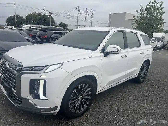 باليسيد كاليجرافي - 2023 - بنزين - بدون دبل - 8 ركاب- 4