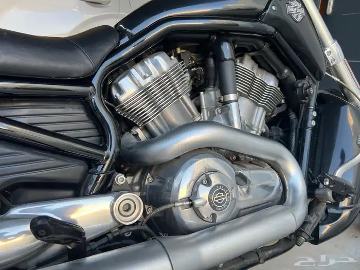 Harley Davidson v rod muscle هارلي 2