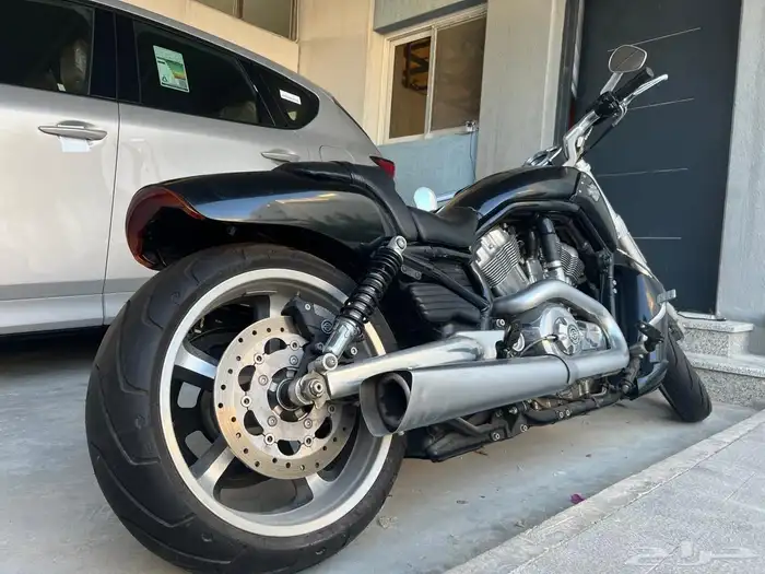 Harley Davidson v rod muscle هارلي 1