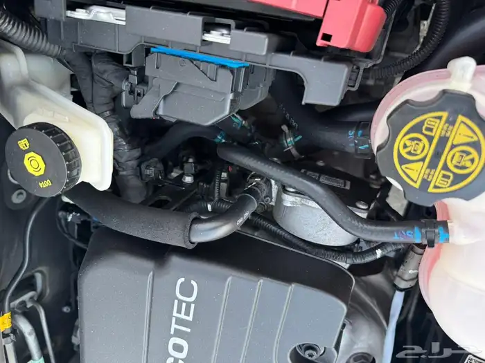 سبارك 2020 ممشى 59 23