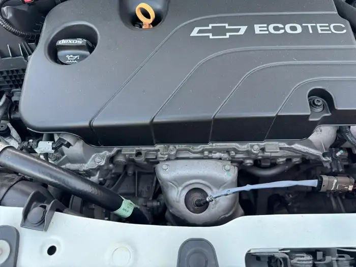 سبارك 2020 ممشى 59 19