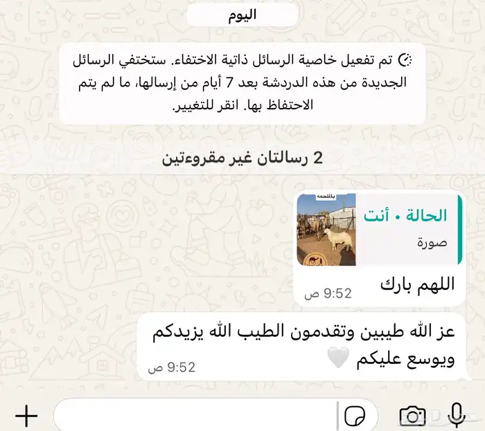 عرض كليو الحاشي 55 3