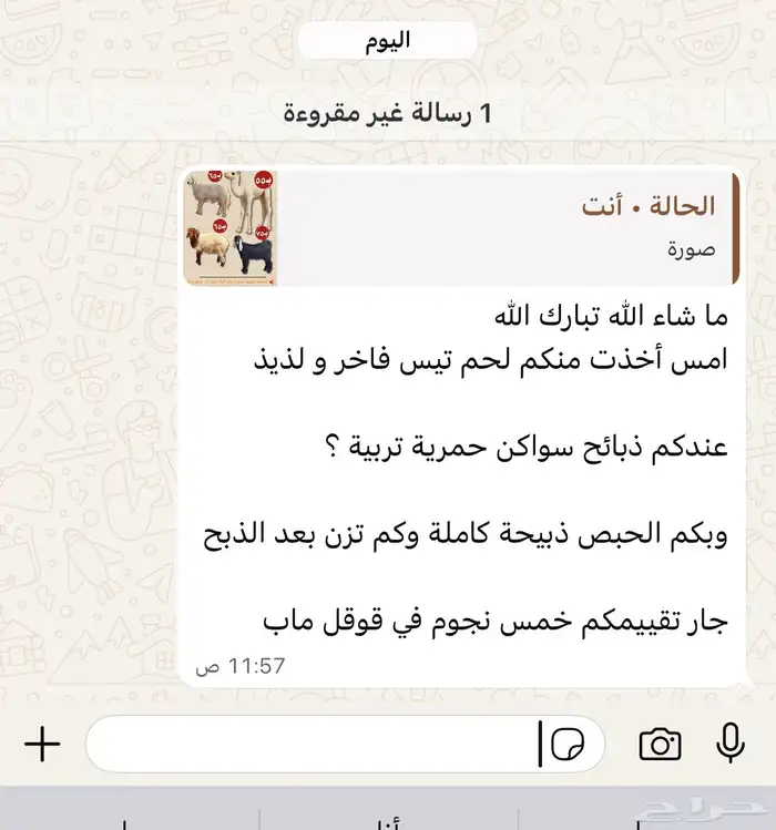 عرض كليو الحاشي 55 1