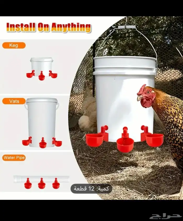 سقيات طيور 0