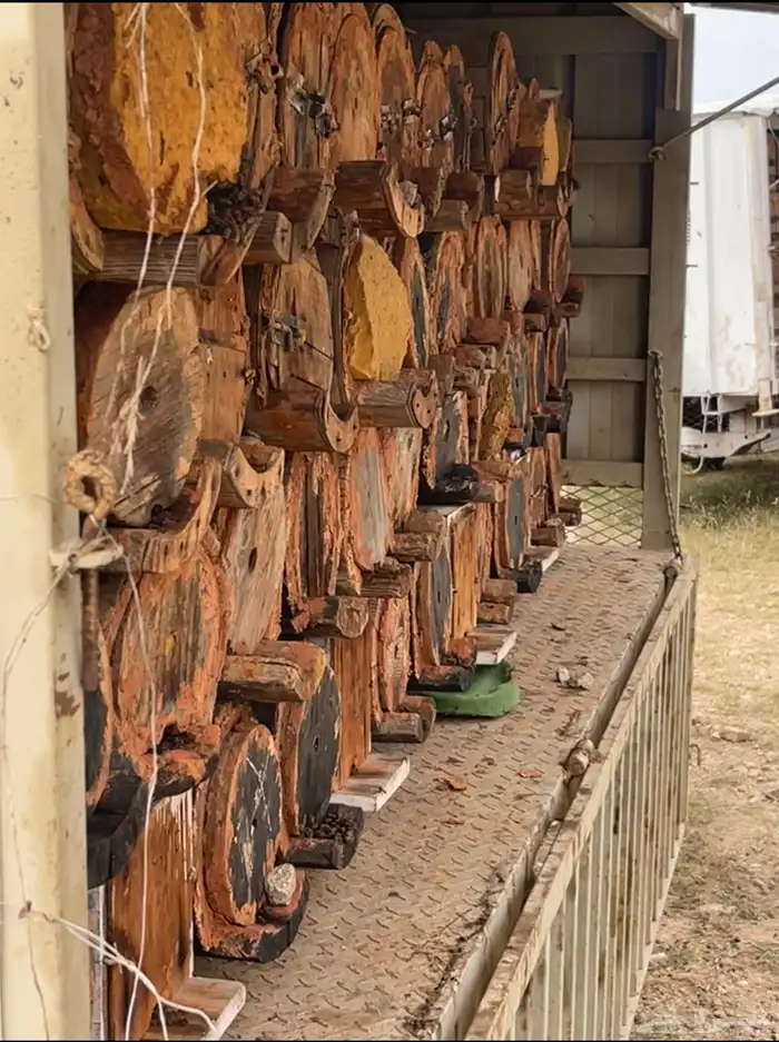 عسل جبلي صافي جديد من منحلي شخصيا 10