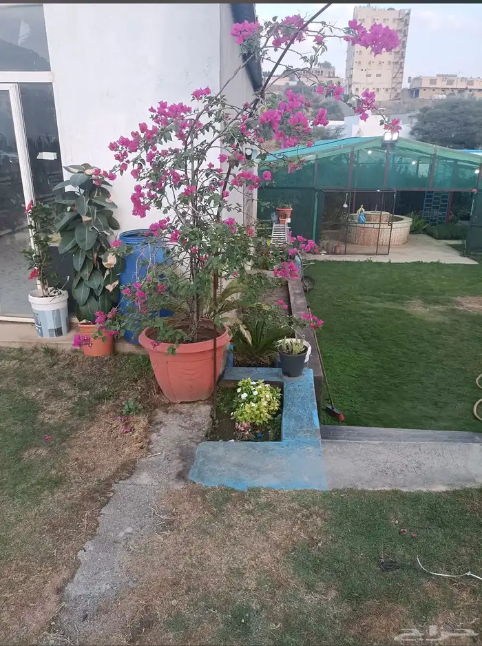 تصفية شاملة مشاتل ايلاف 1