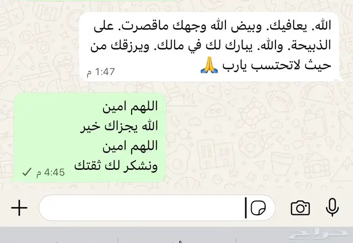 عرض كليو الحاشي 55 4