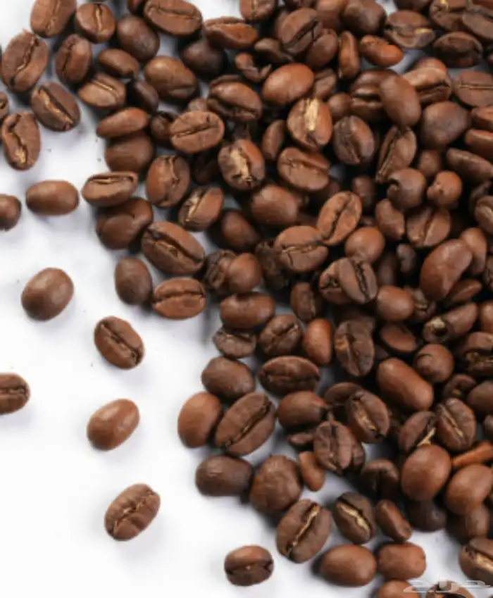 قهوة مختصة محمصة بالجملة للكافيهات 1