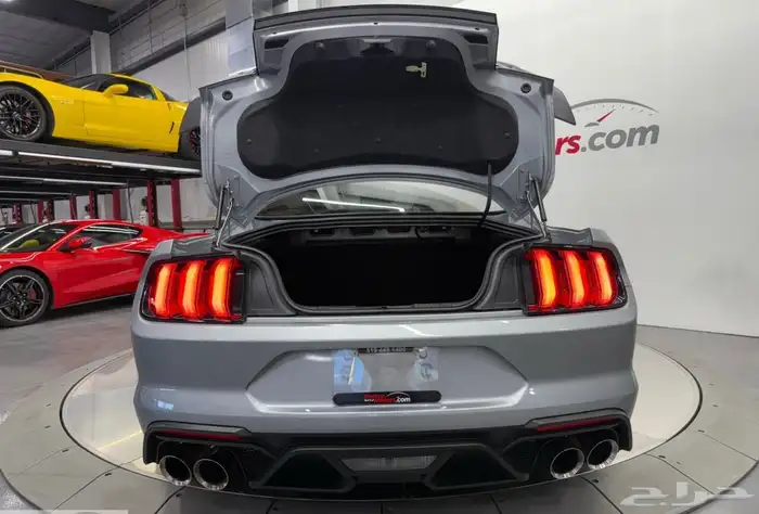 الأسطورة موستنج (ماك 1) -سنة  2021 - للتميز و القوة 15