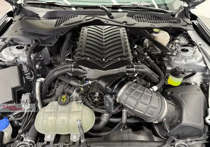 الأسطورة موستنج (ماك 1) -سنة  2021 - للتميز و القوة 11