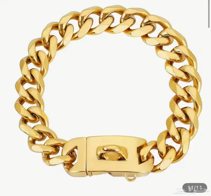 كلب روت ويلر العمر 4 شهور الحجم كبير 11