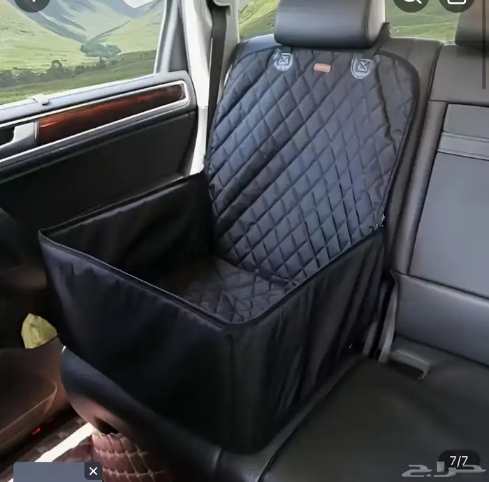 كلب روت ويلر العمر 4 شهور الحجم كبير 13