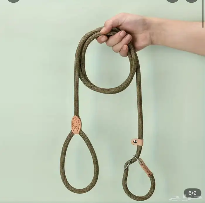 كلب روت ويلر العمر 4 شهور الحجم كبير 9