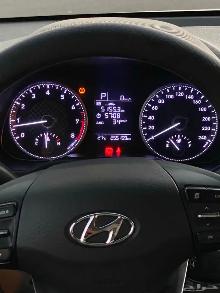 النترا 2020 نص فل 31