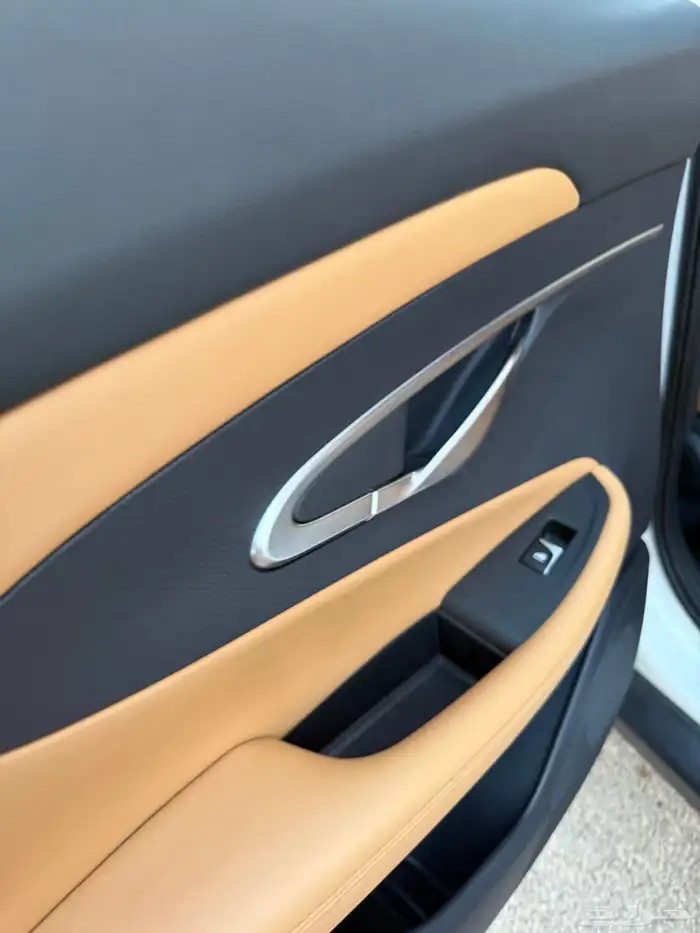 شانجان قمة في النظافة 8