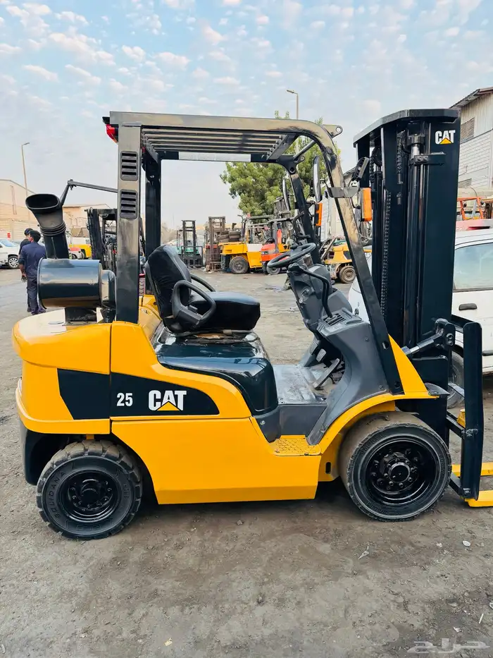 Caterpillar(DP25NT) 2008 0