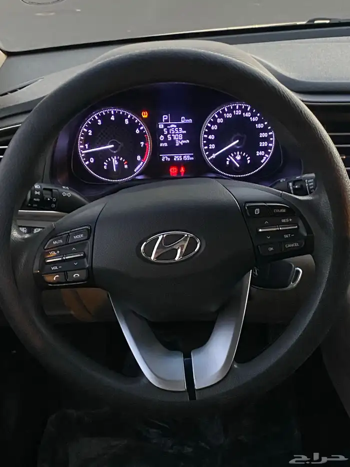 النترا 2020 نص فل 30