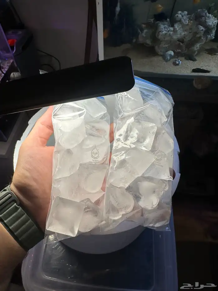 نباتات مائية ( جافا موس ) Java Moss 16