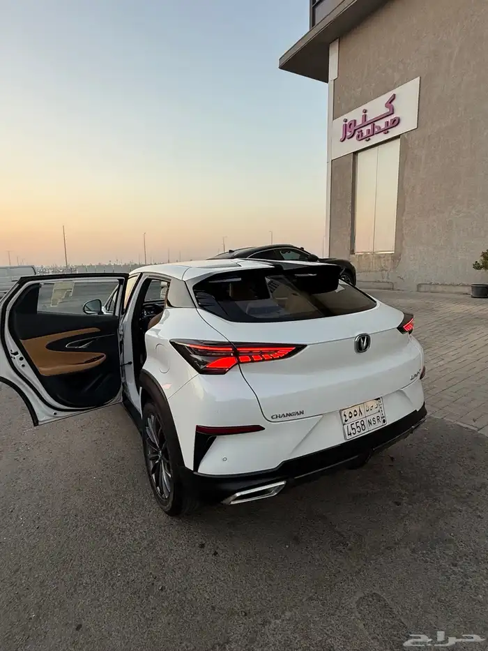 شانجان قمة في النظافة 15