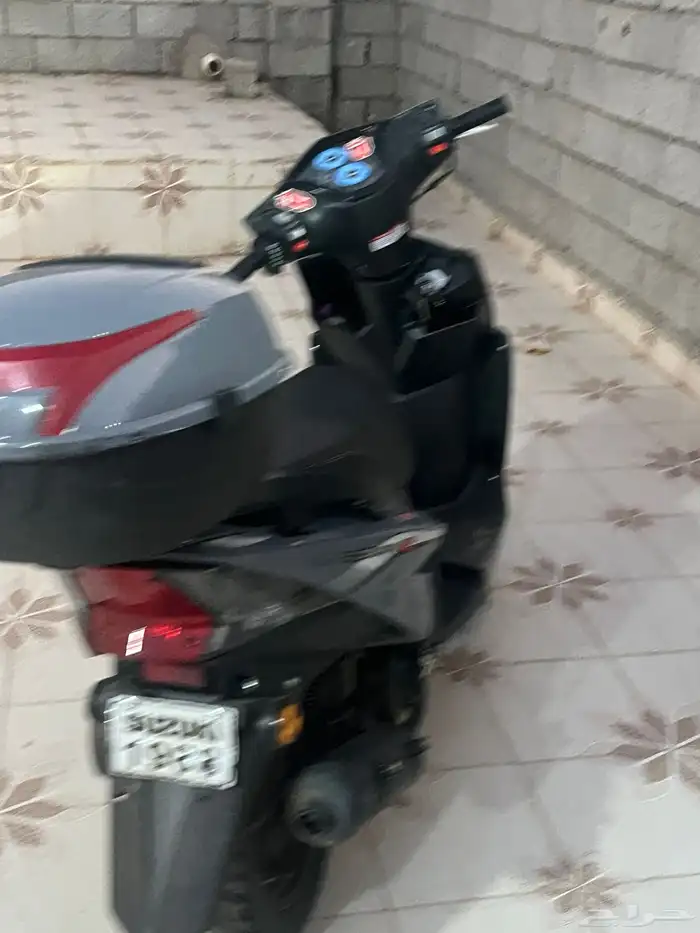 دباب ريس بطه الجديد 2024 4