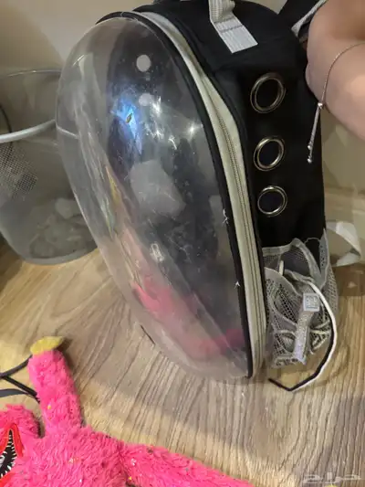 اغراض ومستلزمات كلاب index