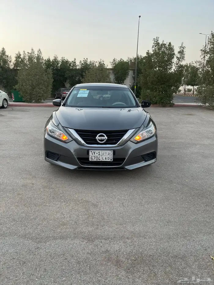 نسيان التيما 0