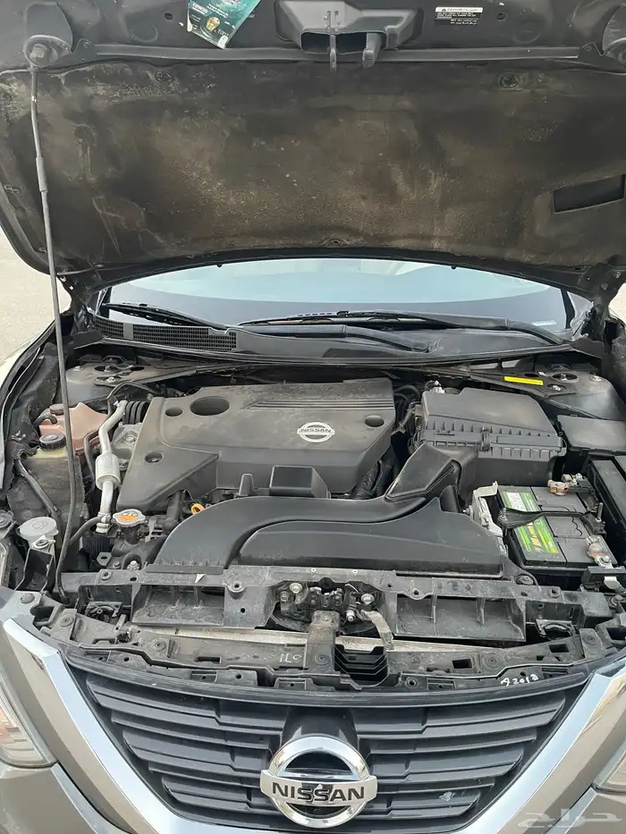 نسيان التيما 13