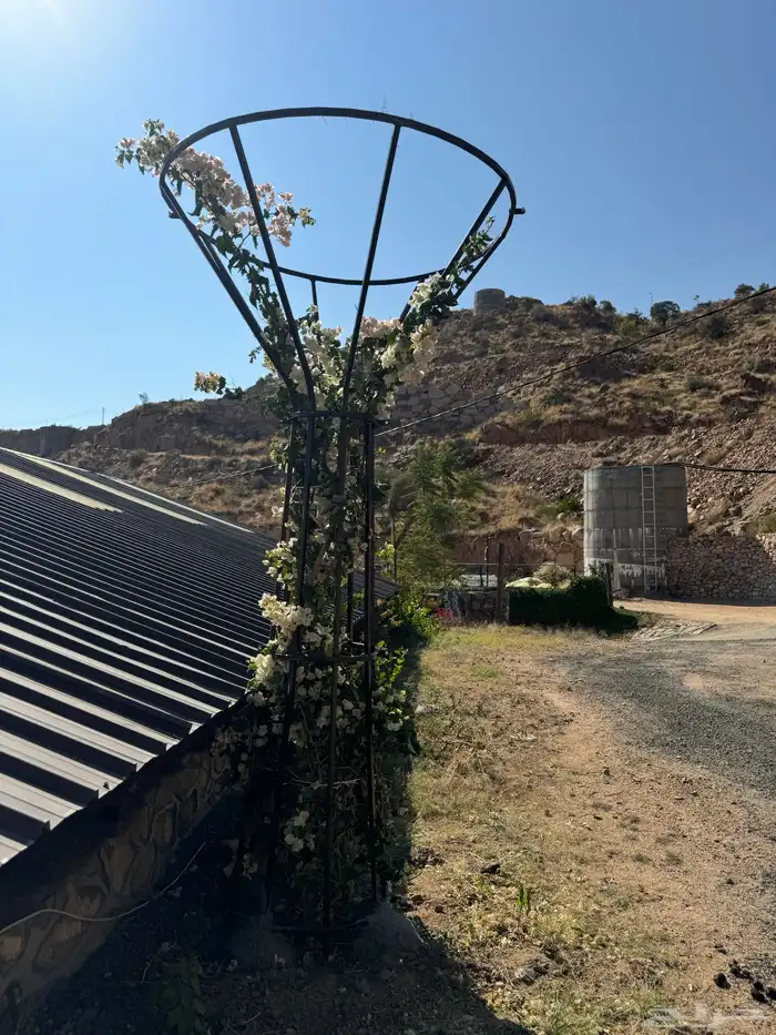 ستاند اشجار المتسلقه 3