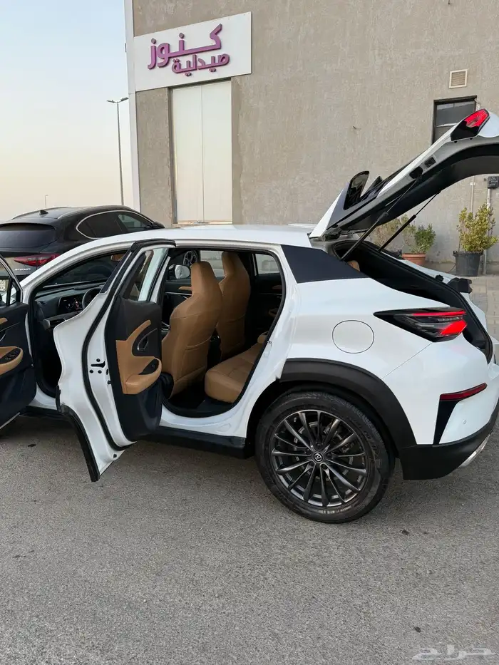 شانجان قمة في النظافة 24