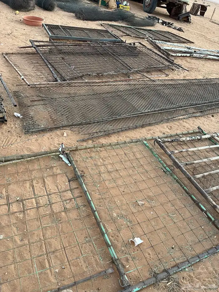 شبوك غنم ومستلزماتها 12