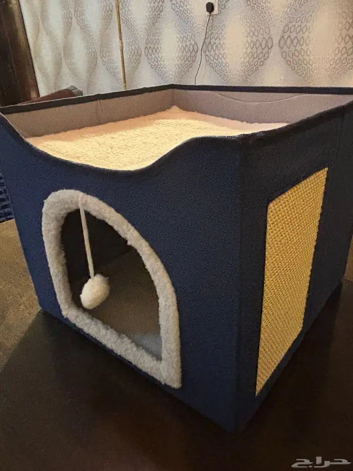 منزل حيوانات أليفة قطط 6