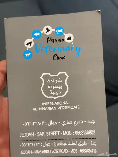 كلب روت ويلر العمر 4 شهور الحجم كبير index