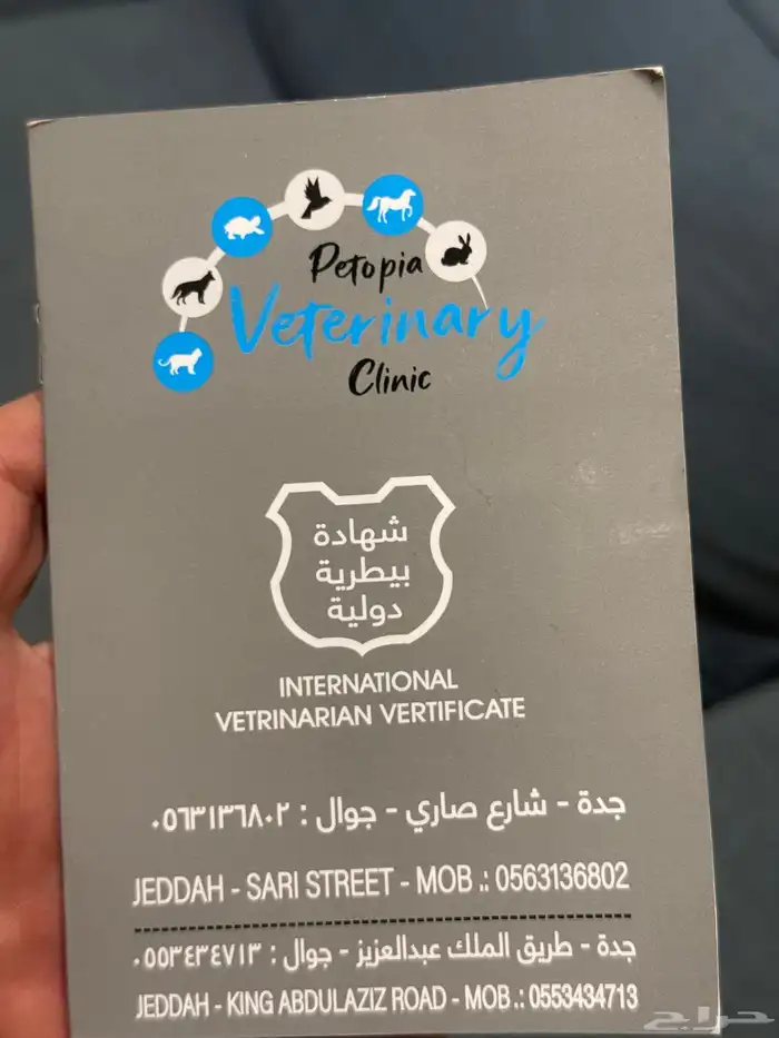 كلب روت ويلر العمر 4 شهور الحجم كبير 5