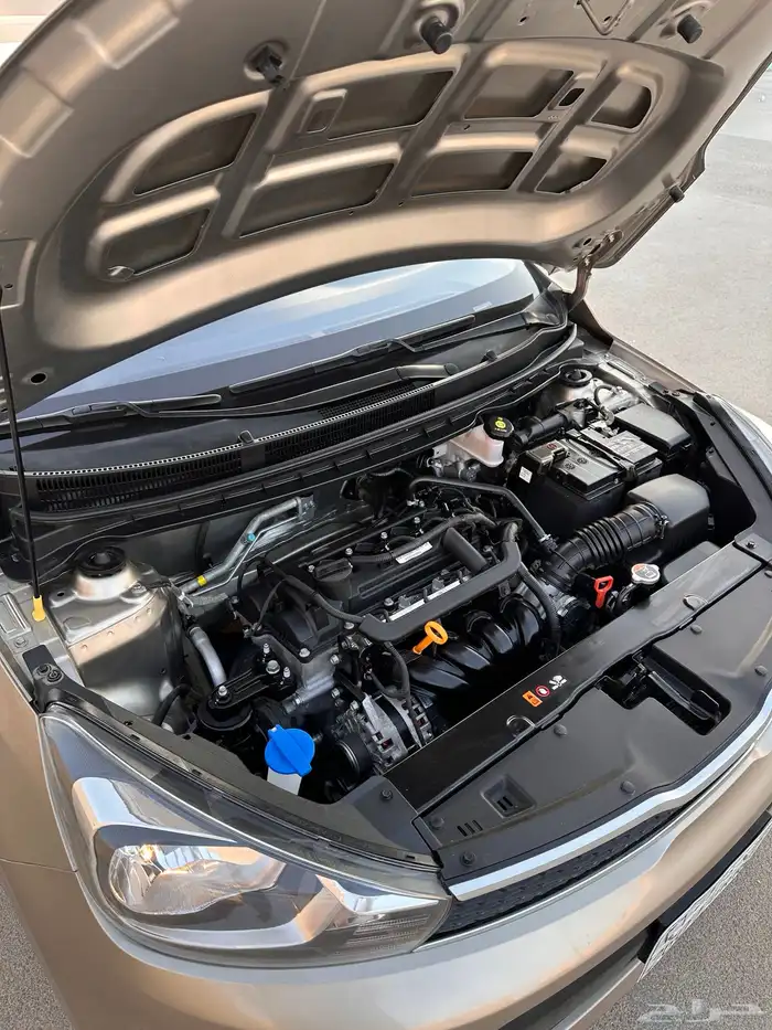 كيا بيجاس 2023 8